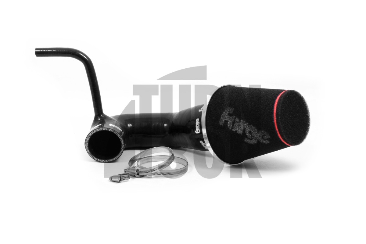 SEAT Ibiza / Skoda Fabia / VW Polo 1.2TSI-1.4GT 2015- Forge Motorsport Intake