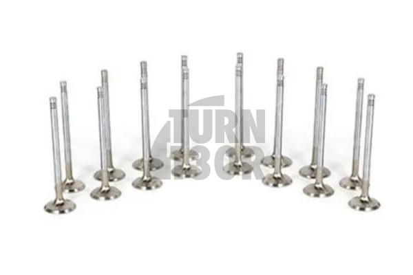 Mitsubishi Lancer Evo 7 / Evo 8 / Evo 9 Ferrea Competition Engine Valves x16