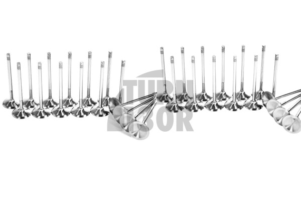 Subaru Impreza WRX STI 01-07 Ferrea Competition Plus Engine Valves x16