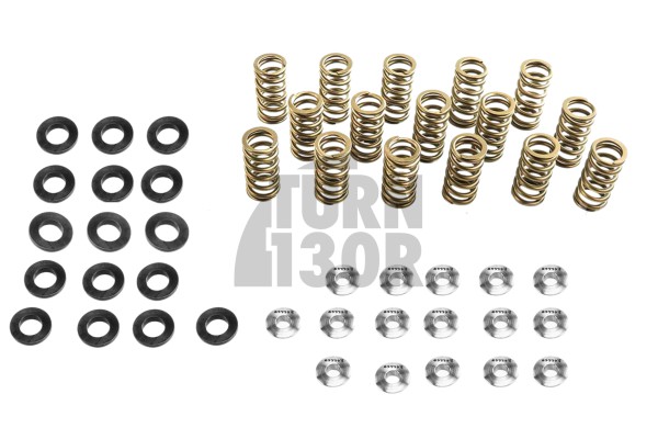 Audi S3 8P / Golf 5 GTI / Golf 6 R / Leon 2 Cupra 2.0 TFSI EA113 Ferrea Valve Springs and Retainers Kit