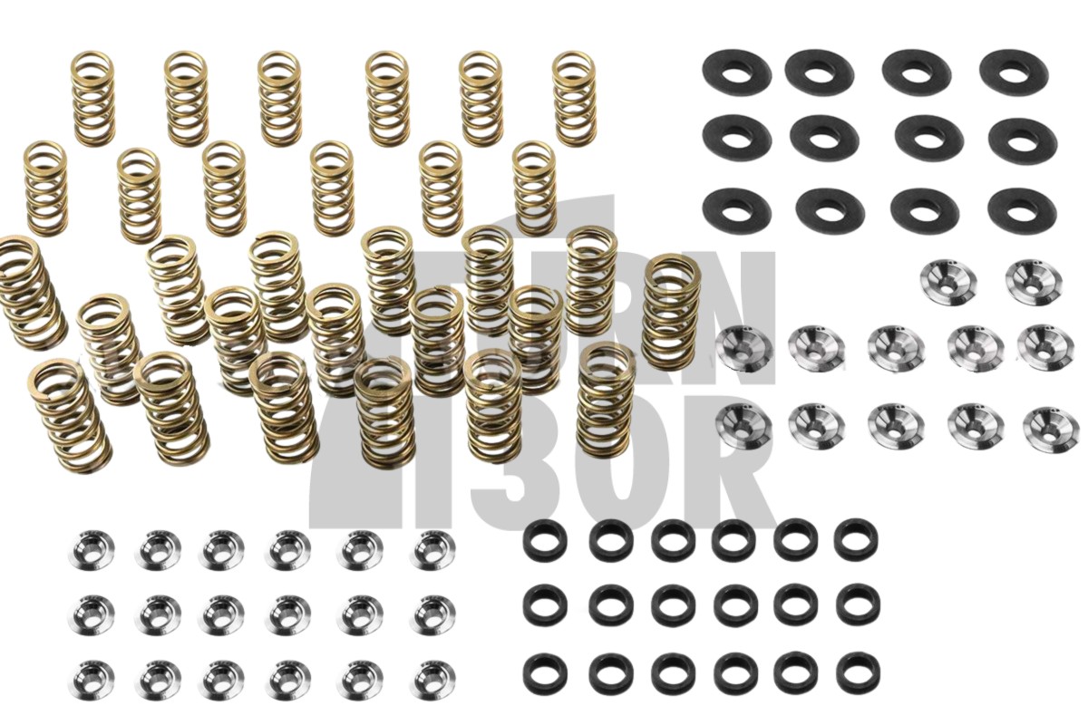 Audi S4 / RS4 B5 Kit de muelles de válvula y retenedores Ferrea