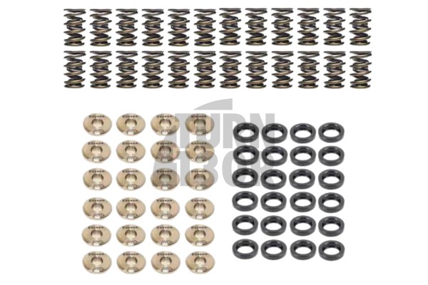 BMW M3 E36 3.0 / 3.2 Kit ressorts de soupape et supports Ferrea