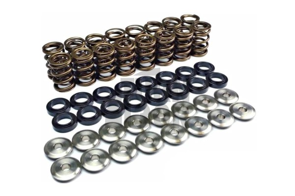 Golf 6 GTI / Scirocco / Leon 2 FR 2.0 TSI EA888.1 Ferrea Valve Springs and Retainers Kit