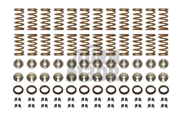 Nissan R35 GTR Ferrea Valve Springs and Retainers Kit