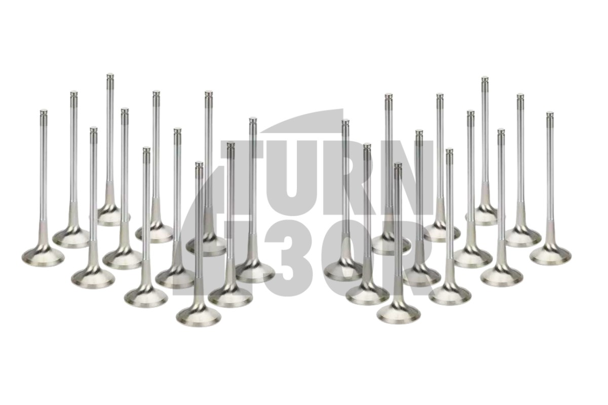 Supertech Engine Valves x24 BMW M3 F80 / M4 F8x / M2 Comp S55