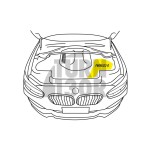 Forge Motorsport Carbon Fiber Air Duct M2 F87 135i / 235i F2x and 335i / 435i F3x Forge Motorsport Carbon Fiber Air Duct M2 F87 135i / 235i F2x and 335i / 435i F3x
