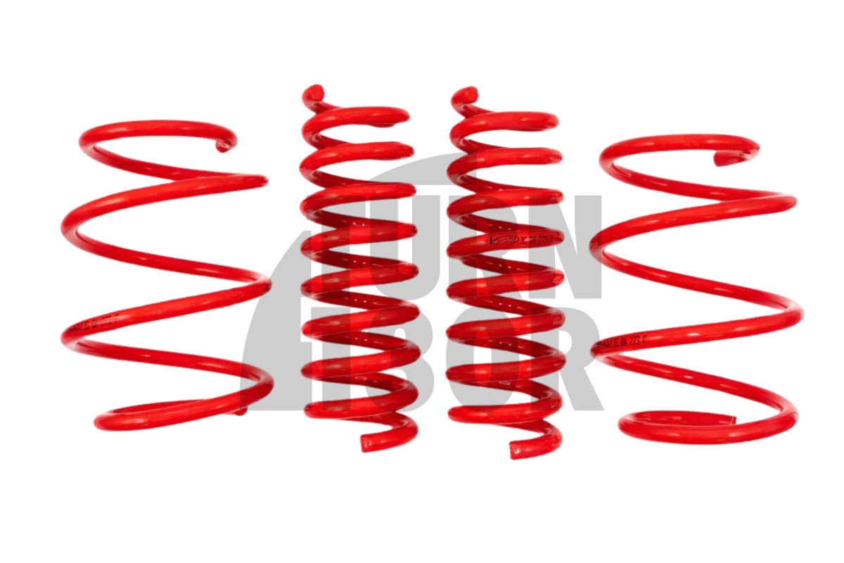 V-maxx Lowering Springs Peugeot 208 GTI -30mm