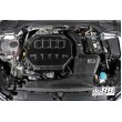 Do88 Evo Admisión de aire frío para Audi A3 / S3 8V / TT 8S / Octavia 5E VRS