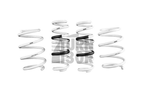 Golf 7 R Leyo Sport Springs