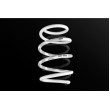 Golf 7 R Leyo Sport Springs