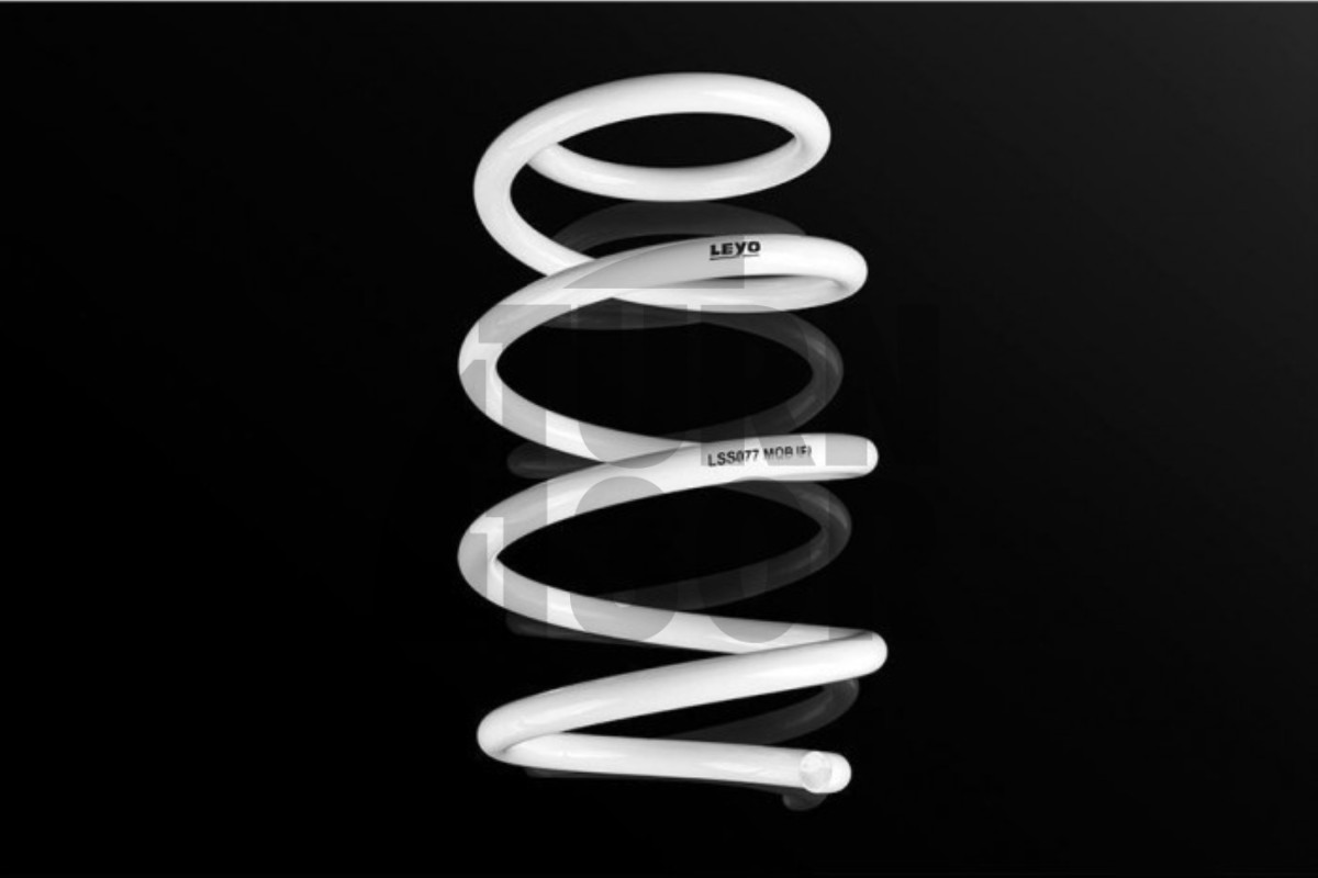 Golf 7 R Leyo Sport Springs