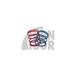 Leyo Diverter & BOV Uprated Spring Kit