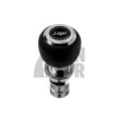 Leyo Nappa (DSG) Shift Knob (Silver Anodized)