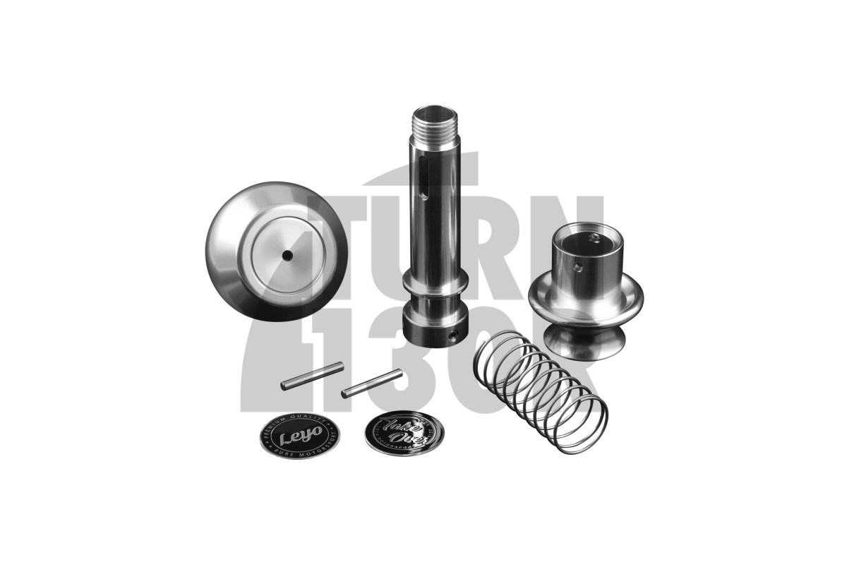 Leyo Billet DSG Shift Knob