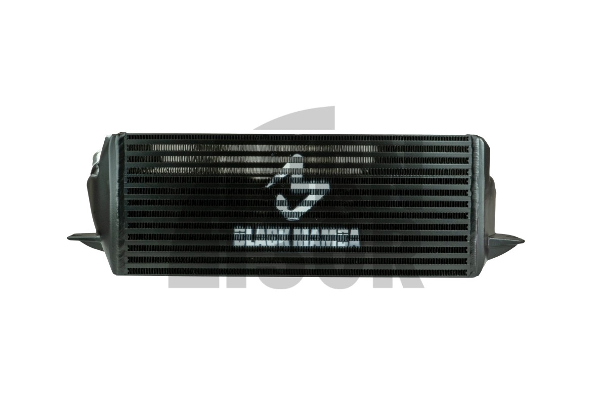 Black Mamba BMW 135i / 1M E82 and 335i E9x N54 Intercooler