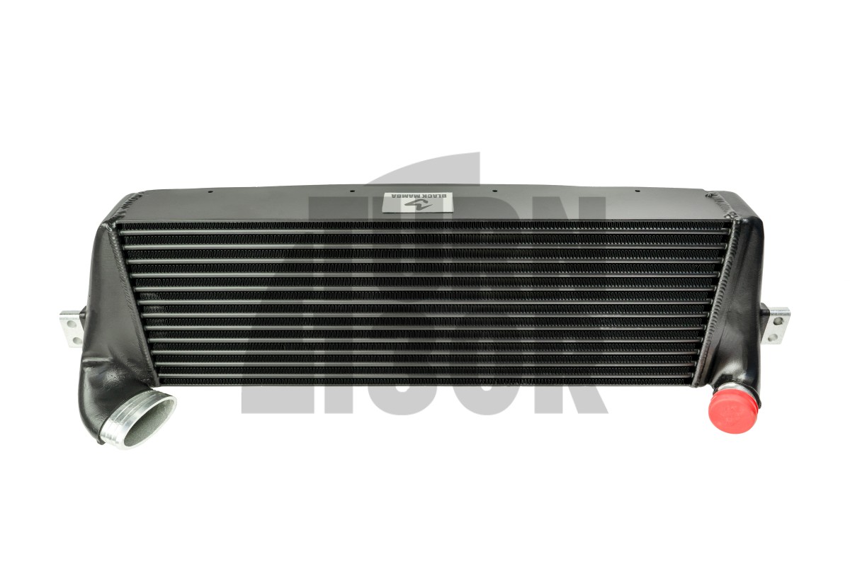 Black Mamba ABARTH 595 / 695 Intercooler Kit