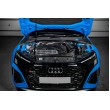 Eventuri Carbon Fiber Intake for Audi RS3 8Y